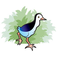 baby water hen walking near by green bush vector cartoon