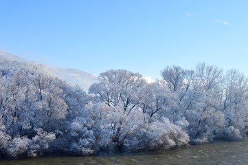 winter landscape
