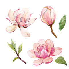 Watercolor magnolia floral composition - obrazy, fototapety, plakaty