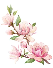 Foto op Canvas Aquarel magnolia bloemensamenstelling © zenina
