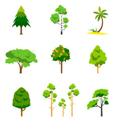 Fototapeta premium Different tree set, vector illustration.