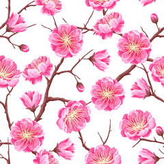 Naklejka premium Seamless pattern with sakura or cherry blossom. Floral japanese ornament of blooming flowers