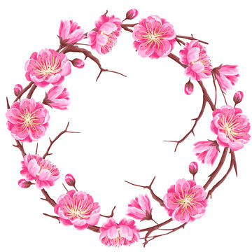 Frame with sakura or cherry blossom. Floral japanese ornament of blooming flowers