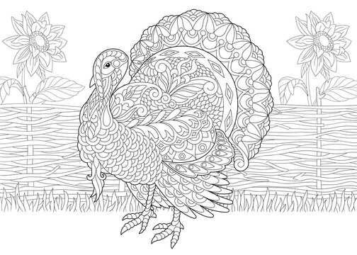 Coloring Page. Adult Coloring Book. Turkey bird and sunflowers on the farm yard. Freehand sketch drawing for Thanksgiving Day greeting card with doodle and zentangle elements.