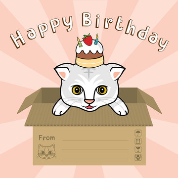 a cat in box say "Happy Birthday" vector illustration