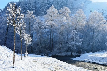 winter landscape
