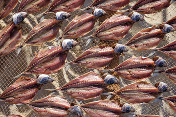 fishes been drying on nets in front of the ocean