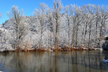 winter landscape
