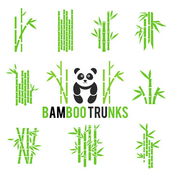 Bamboo vector icons set isolated on white background.