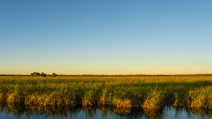 USA, Florida, Endless wide sawgrass landscape of everglades at dawn