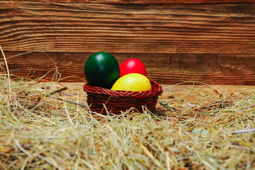 Easter colored eggs in a basket, in the manger.