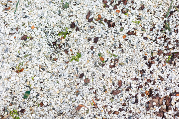 white very small and medium sized stones closeup.