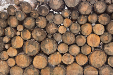round timber texture background close up