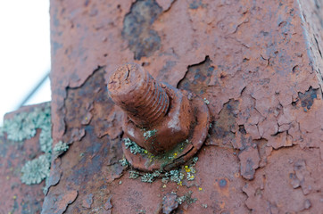 Corrosive rusted bolt with nut. Grunge industrial construction