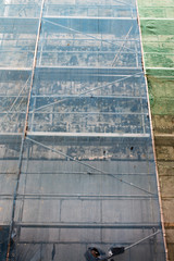 roofing felt uninstalling  in building facade by construction workers in scaffolding