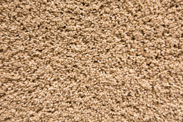 texture of a brown carpet with long pile.