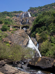 The milk ocean of Goa