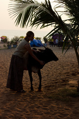 acquaintance on the beach