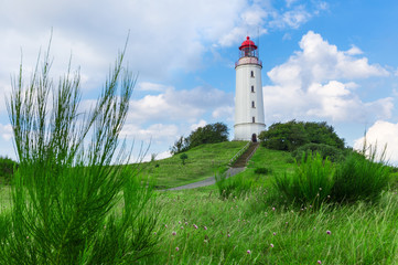 Fototapeta na wymiar Lighthouse on the island Hiddensee in the Baltic Sea, Germany