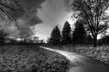 Path Through the Storm
