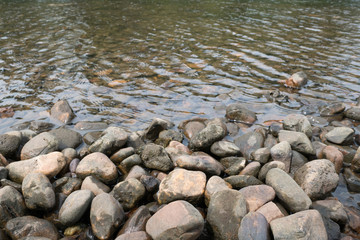 The Rocks near the River