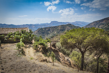 Fototapeta na wymiar Landscape of the Sicilian hinterland - Sicily