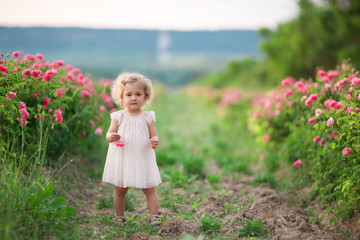 Pretty curly child girl is walking in spring garden with pink blossom roses flowers, sunset time