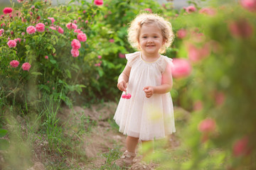 Pretty curly child girl is walking in spring garden with pink blossom roses flowers, sunset time