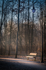A frozen bench and park lamp next to a path lit by an orange sunrise on a cold winter morning. - 189382020