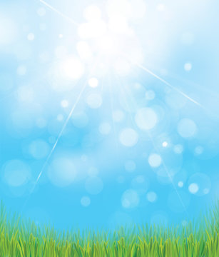 Vector  nature  background, green grass,  blue, sunny  sky  bokeh background.