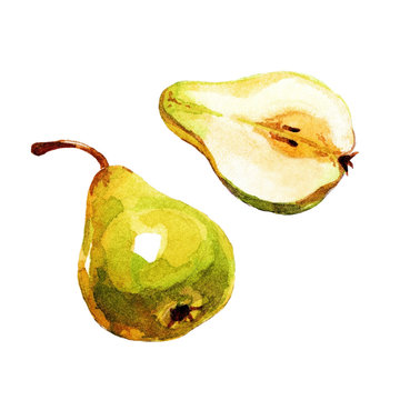 Pear painted watercolor.