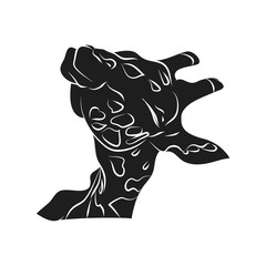 The head of a giraffe on a white background.