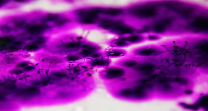 Potassium Permanganate dissolving in Water.