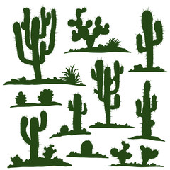 Set of different types of green isolated cacti plants. Raster illustration.