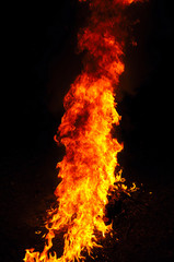 Bright flame of a bonfire