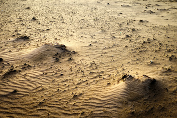 Sand ripples
