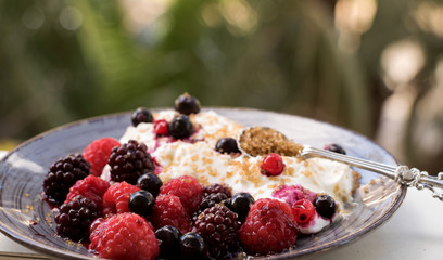 morgendliches leichtes Frühstück mit Joghurt und Früchten im Garten