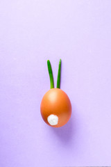 Egg shell and feathers green onion imitation rabbit bunny on purple colored paper background - 189388634