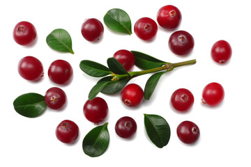 Cranberry isolated on white. With clipping path. Full depth of field.