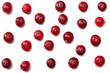 Cranberry isolated on white. With clipping path. Full depth of field.