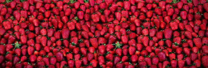 Fresh strawberries background. Copy space. Harvest. Food frame and banner