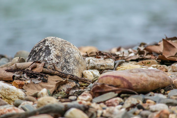 Vimieiro, Penacova, Coimbra, Portugal