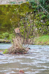 Vimieiro, Penacova, Coimbra, Portugal