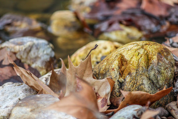 Vimieiro, Penacova, Coimbra, Portugal