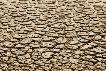 Texture di terra arida e spaccata 