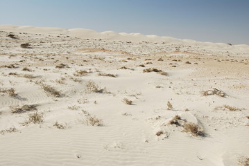 Sugar Dunes, Al Khaluf, Oman