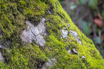Vimieiro, Penacova, Coimbra, Portugal