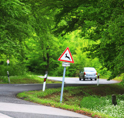 Traffic in forest road with deer caution roadsign