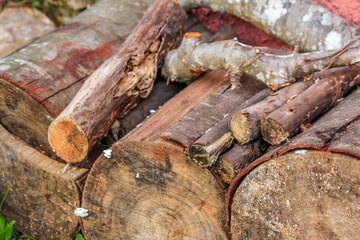 Fototapeta premium Vimieiro, Penacova, Coimbra, Portugal