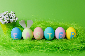 Row of six colorful pastel monophonic painted Easter eggs with inscription Easter, fun bunny ears, white flowers in bucket in green grass isolated on green background. Copy space for advertisement.